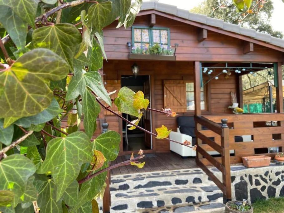 Desconexion Y Paz, Cabana En La Sierra Albalate De Zorita Exterior photo