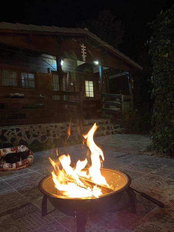 Desconexion Y Paz, Cabana En La Sierra Albalate De Zorita Exterior photo